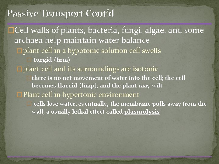 Passive Transport Cont’d �Cell walls of plants, bacteria, fungi, algae, and some archaea help