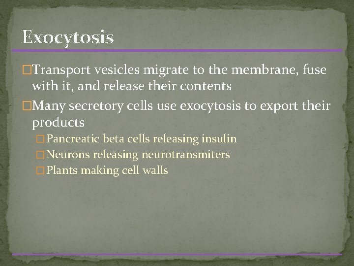 Exocytosis �Transport vesicles migrate to the membrane, fuse with it, and release their contents