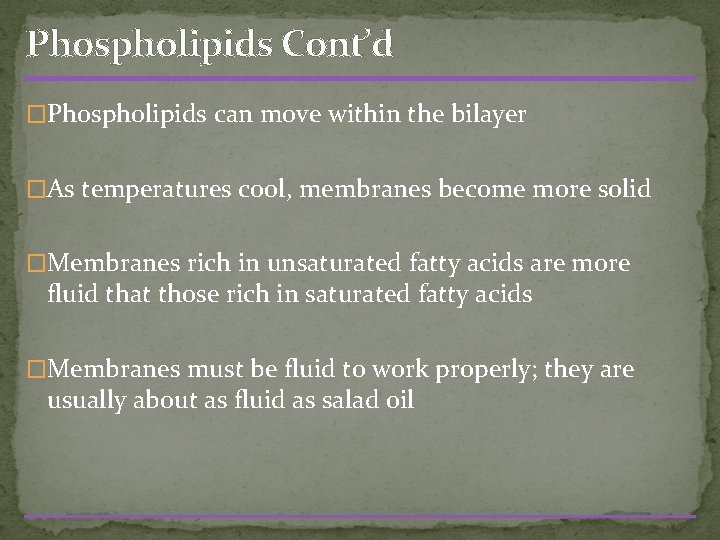 Phospholipids Cont’d �Phospholipids can move within the bilayer �As temperatures cool, membranes become more