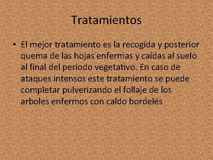 Tratamientos • El mejor tratamiento es la recogida y posterior quema de las hojas