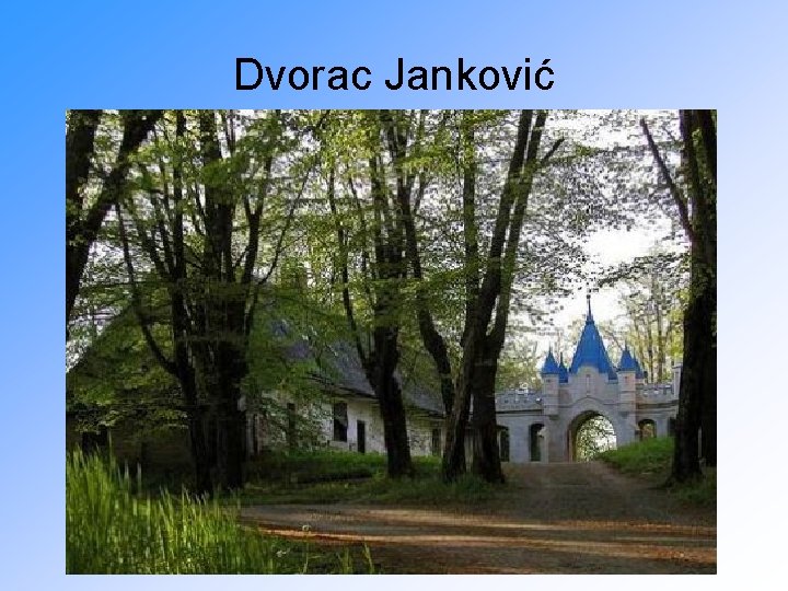 Dvorac Janković 