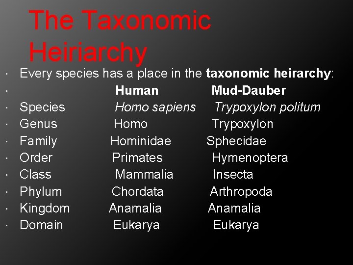 The Taxonomic Heiriarchy Every species has a place in the taxonomic heirarchy: Human Mud-Dauber