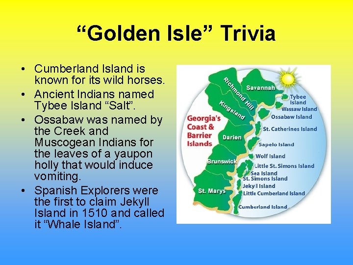 “Golden Isle” Trivia • Cumberland Island is known for its wild horses. • Ancient