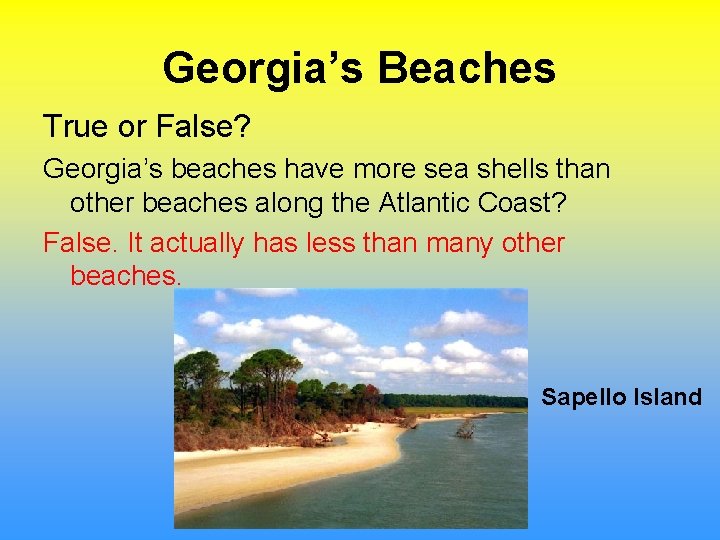 Georgia’s Beaches True or False? Georgia’s beaches have more sea shells than other beaches