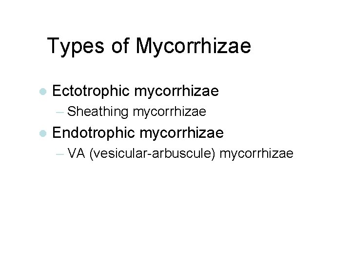 Types of Mycorrhizae l Ectotrophic mycorrhizae – Sheathing mycorrhizae l Endotrophic mycorrhizae – VA