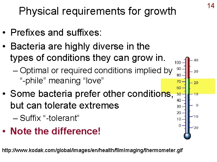 Physical requirements for growth • Prefixes and suffixes: • Bacteria are highly diverse in