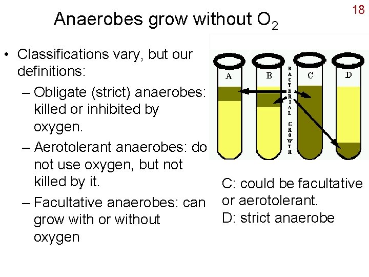 Anaerobes grow without O 2 18 • Classifications vary, but our definitions: – Obligate