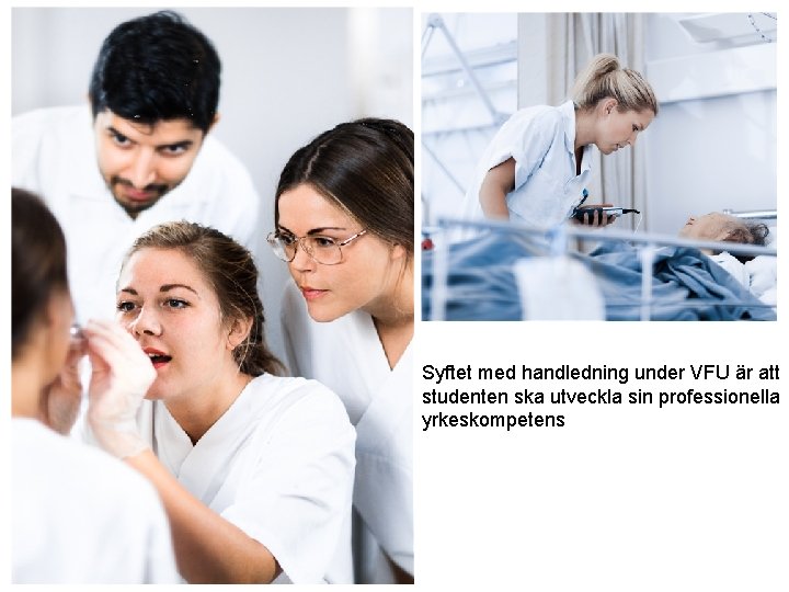 Syftet med handledning under VFU är att studenten ska utveckla sin professionella yrkeskompetens 