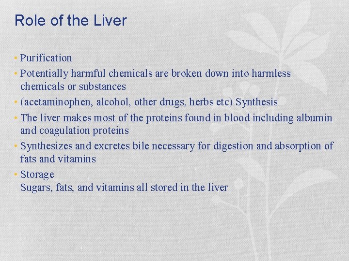 Role of the Liver • Purification • Potentially harmful chemicals are broken down into