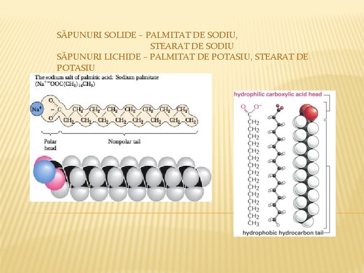 SĂPUNURI SOLIDE – PALMITAT DE SODIU, STEARAT DE SODIU SĂPUNURI LICHIDE – PALMITAT DE