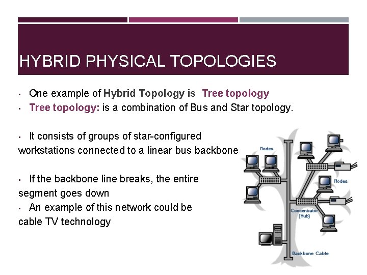 HYBRID PHYSICAL TOPOLOGIES • • One example of Hybrid Topology is Tree topology: is