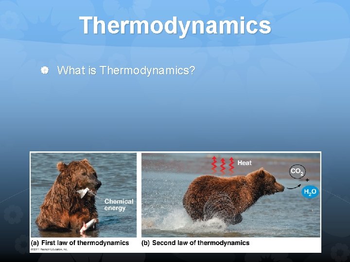 Thermodynamics What is Thermodynamics? 