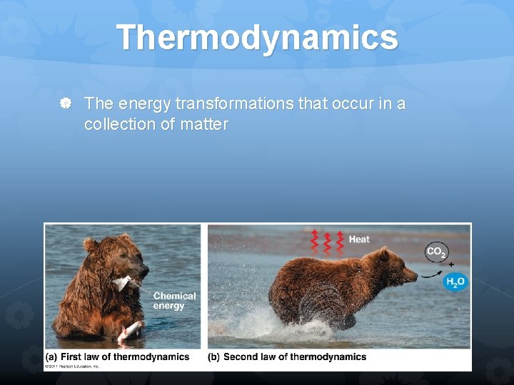 Thermodynamics The energy transformations that occur in a collection of matter 