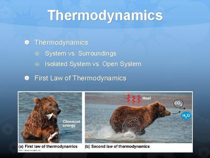 Thermodynamics System vs. Surroundings Isolated System vs. Open System First Law of Thermodynamics 
