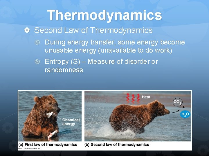 Thermodynamics Second Law of Thermodynamics During energy transfer, some energy become unusable energy (unavailable