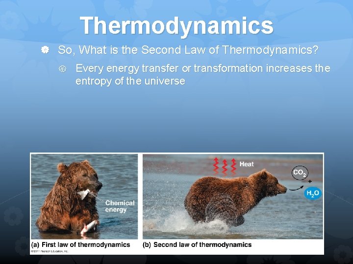 Thermodynamics So, What is the Second Law of Thermodynamics? Every energy transfer or transformation