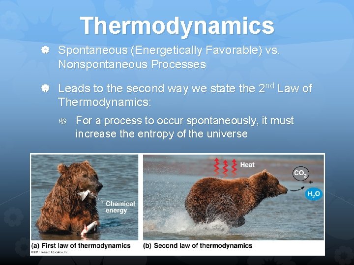 Thermodynamics Spontaneous (Energetically Favorable) vs. Nonspontaneous Processes Leads to the second way we state