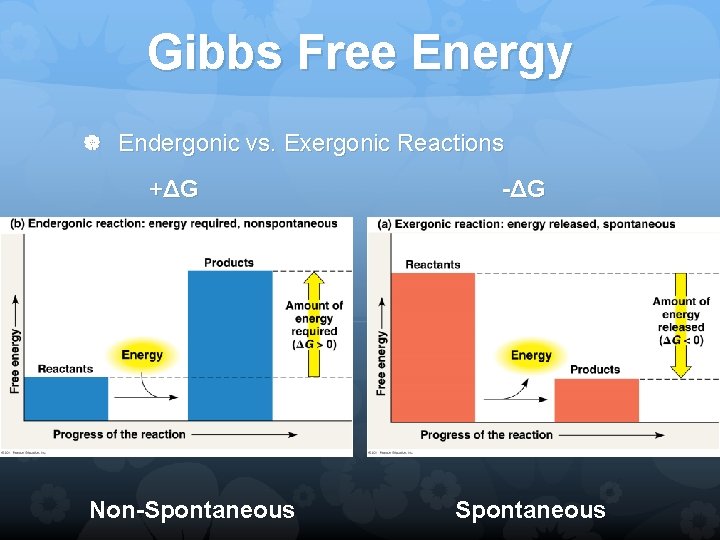 Gibbs Free Energy Endergonic vs. Exergonic Reactions +ΔG Non-Spontaneous -ΔG Spontaneous 