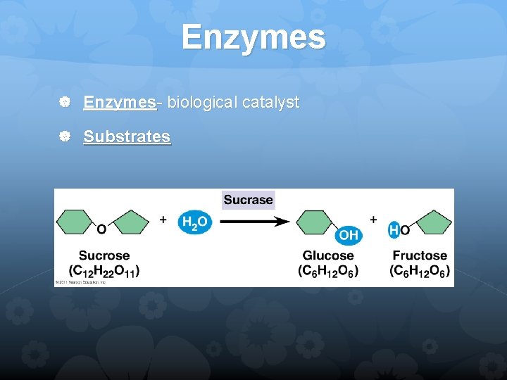 Enzymes Enzymes- biological catalyst Substrates 