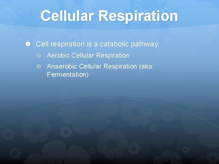 Cellular Respiration Cell respiration is a catabolic pathway. Aerobic Cellular Respiration Anaerobic Cellular Respiration