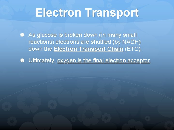 Electron Transport As glucose is broken down (in many small reactions) electrons are shuttled