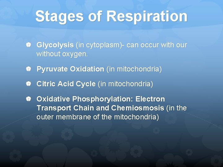 Stages of Respiration Glycolysis (in cytoplasm)- can occur with our without oxygen. Pyruvate Oxidation