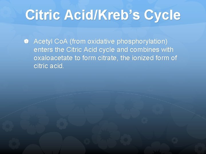 Citric Acid/Kreb’s Cycle Acetyl Co. A (from oxidative phosphorylation) enters the Citric Acid cycle