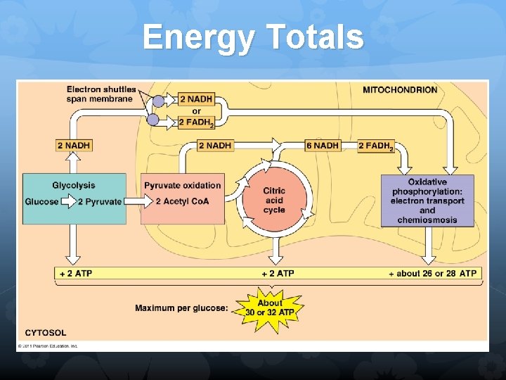 Energy Totals Kh; 