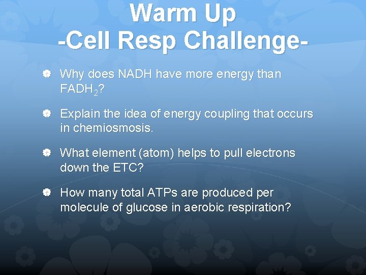 Warm Up -Cell Resp Challenge Why does NADH have more energy than FADH 2?