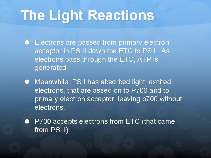 The Light Reactions Electrons are passed from primary electron acceptor in PS II down