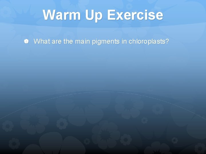 Warm Up Exercise What are the main pigments in chloroplasts? 