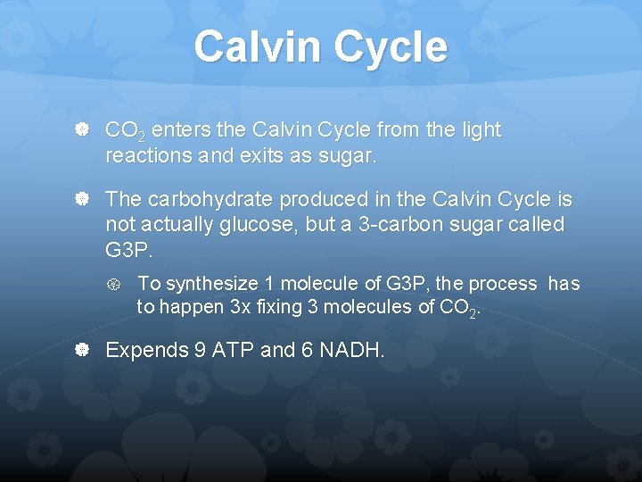 Calvin Cycle CO 2 enters the Calvin Cycle from the light reactions and exits