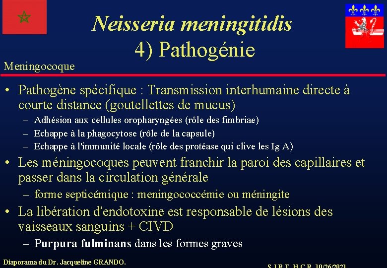 Meningocoque Neisseria meningitidis 4) Pathogénie • Pathogène spécifique : Transmission interhumaine directe à courte