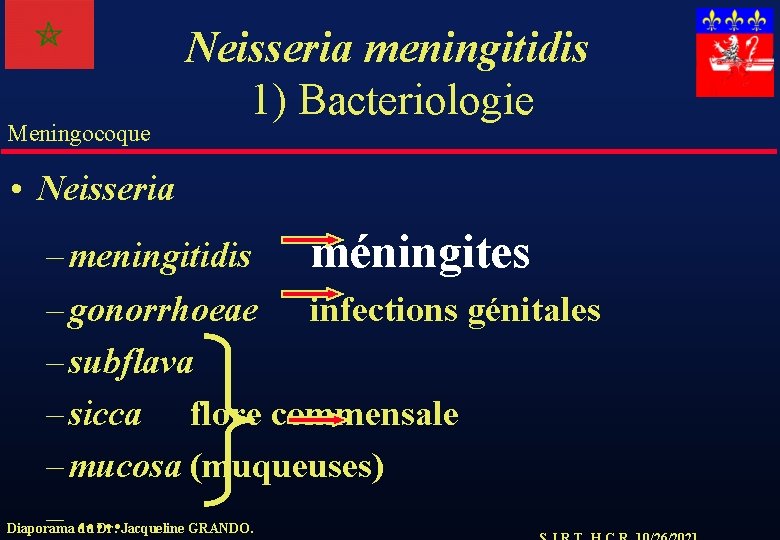 Meningocoque Neisseria meningitidis 1) Bacteriologie • Neisseria – meningitidis méningites – gonorrhoeae infections génitales
