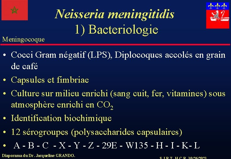 Meningocoque Neisseria meningitidis 1) Bacteriologie • Cocci Gram négatif (LPS), Diplocoques accolés en grain