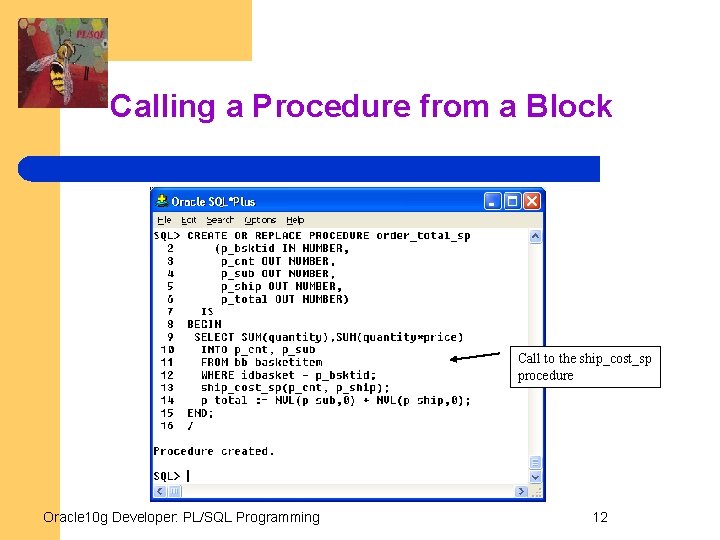Calling a Procedure from a Block Call to the ship_cost_sp procedure Oracle 10 g
