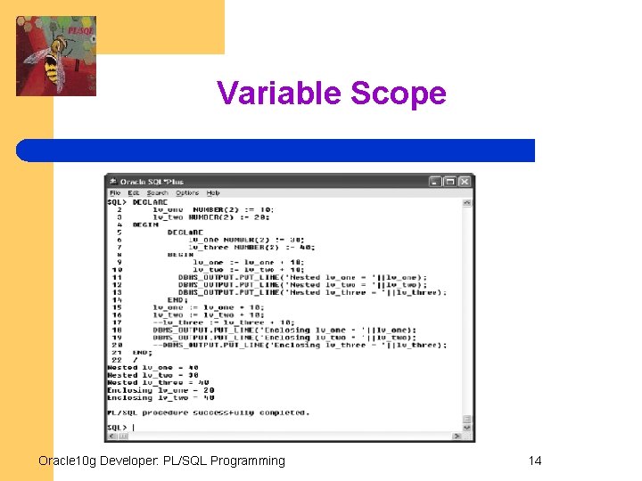 Variable Scope Oracle 10 g Developer: PL/SQL Programming 14 