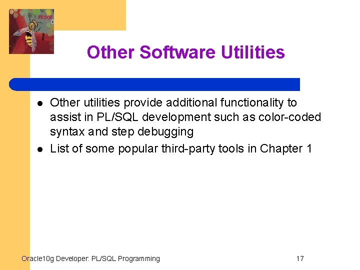 Other Software Utilities l l Other utilities provide additional functionality to assist in PL/SQL