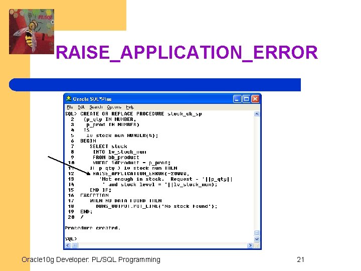 RAISE_APPLICATION_ERROR Oracle 10 g Developer: PL/SQL Programming 21 