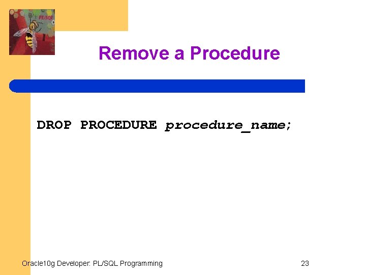 Remove a Procedure DROP PROCEDURE procedure_name; Oracle 10 g Developer: PL/SQL Programming 23 
