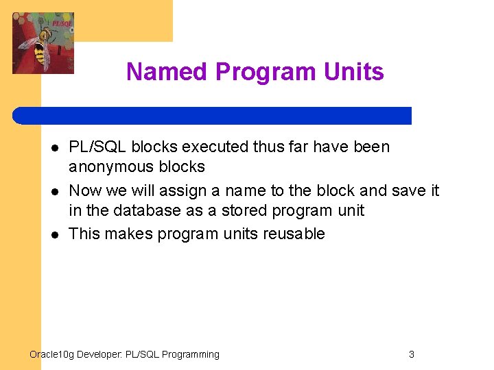 Named Program Units l l l PL/SQL blocks executed thus far have been anonymous