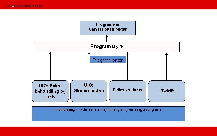 Programeier Universitetsdirektør Programstyre Programkontor Ui. O: Saksbehandling og arkiv Ui. O: Økonomi/lønn Fellesløsninger IT-drift