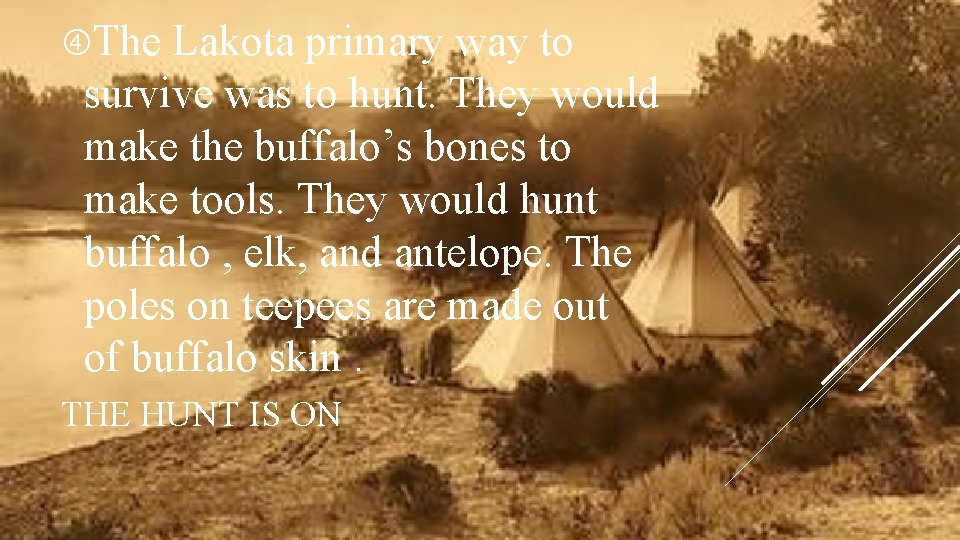  The Lakota primary way to survive was to hunt. They would make the