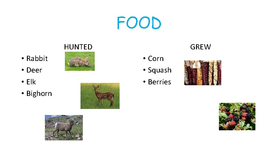 FOOD HUNTED • Rabbit • Deer • Elk • Bighorn GREW • Corn •