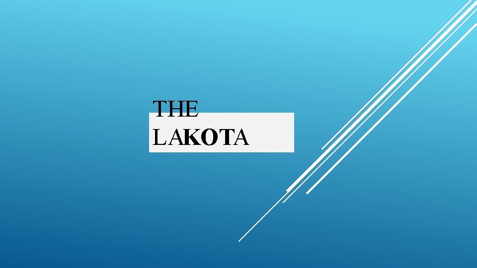 THE LAKOTA 