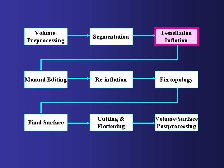 Volume Preprocessing Segmentation Tessellation Inflation Manual Editing Re-inflation Fix topology Final Surface Cutting &