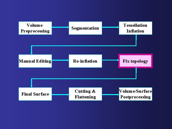 Volume Preprocessing Segmentation Tessellation Inflation Manual Editing Re-inflation Fix topology Final Surface Cutting &