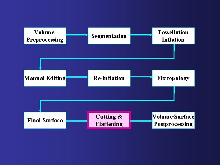 Volume Preprocessing Segmentation Tessellation Inflation Manual Editing Re-inflation Fix topology Final Surface Cutting &