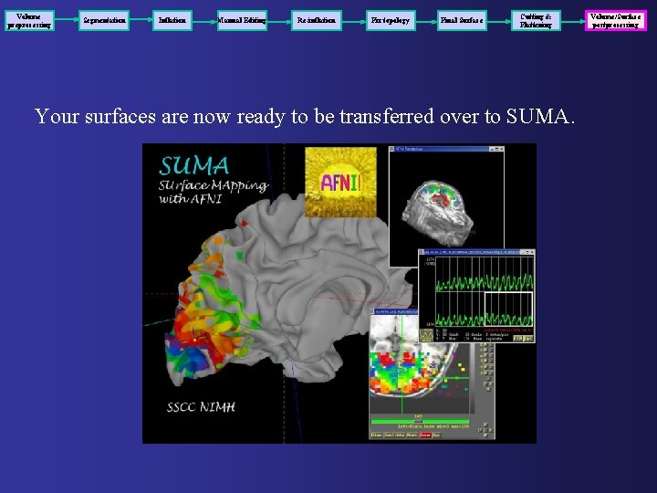 Volume preprocessing Segmentation Inflation Manual Editing Re-inflation Fix topology Final Surface Cutting & Flattening