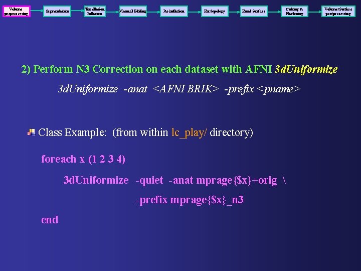 Volume preprocessing Segmentation Tessellation Inflation Manual Editing Re-inflation Fix topology Final Surface Cutting &